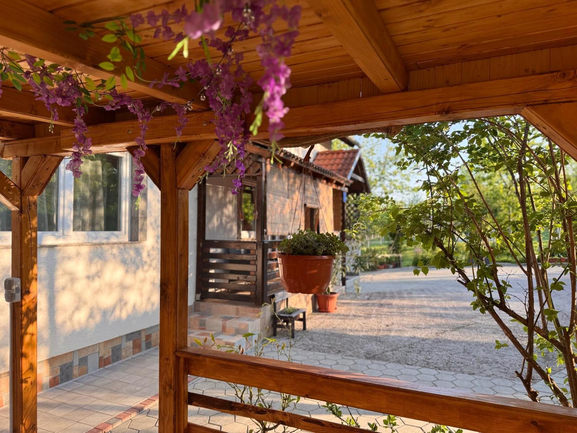 Apartment Liso Селище Дрезницко Екстериор снимка